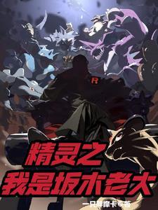 精灵之我是坂木老大 精灵之我是坂木老大
